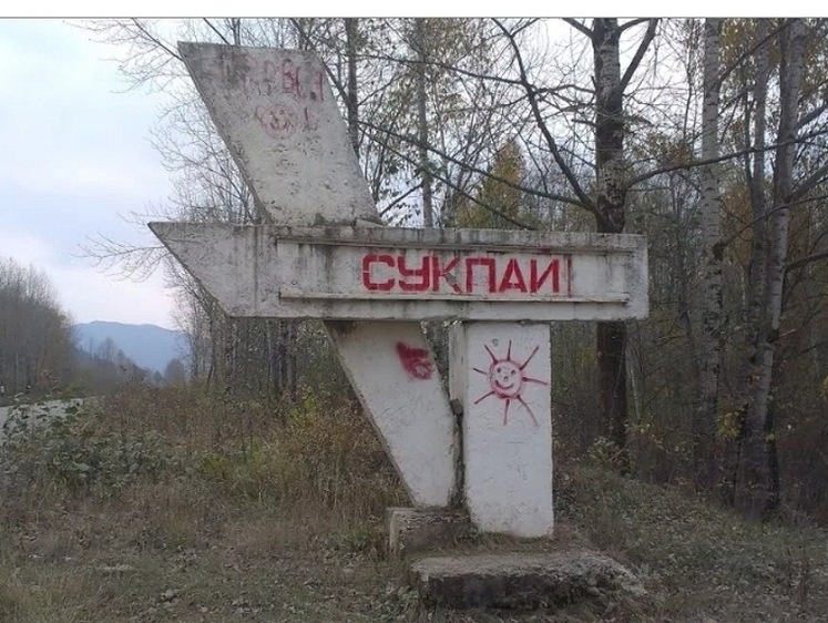 Изображение  Это случайность: так объяснили гибель укушенной тигром женщины 