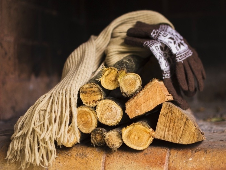 Заготовка дров. Важнейший элемент выживания