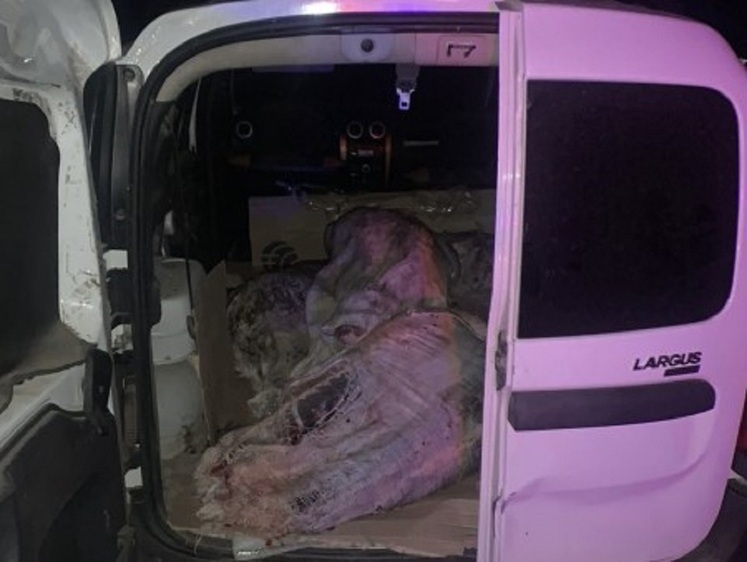 Изображение Астраханские полицейские поймали 200 кг браконьерских осетров