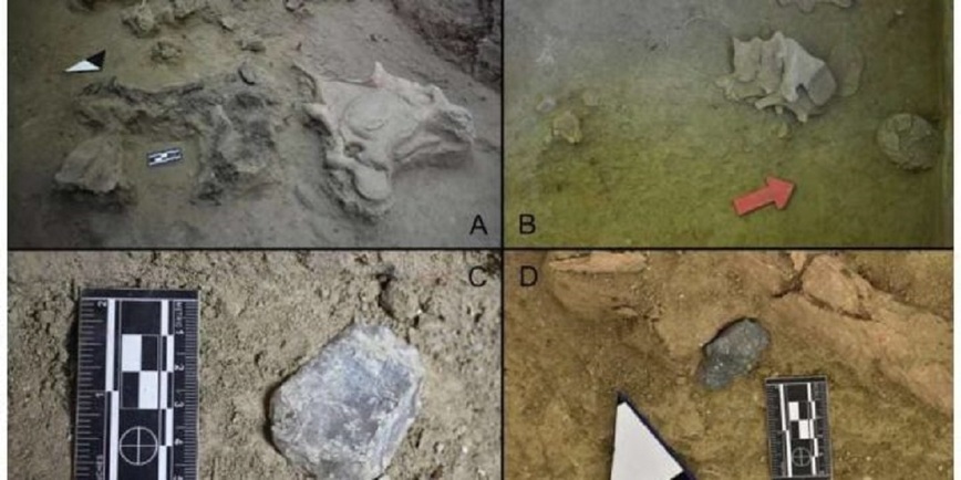 Изображение Фото: Labarca et al., 2024, PLOS ONE