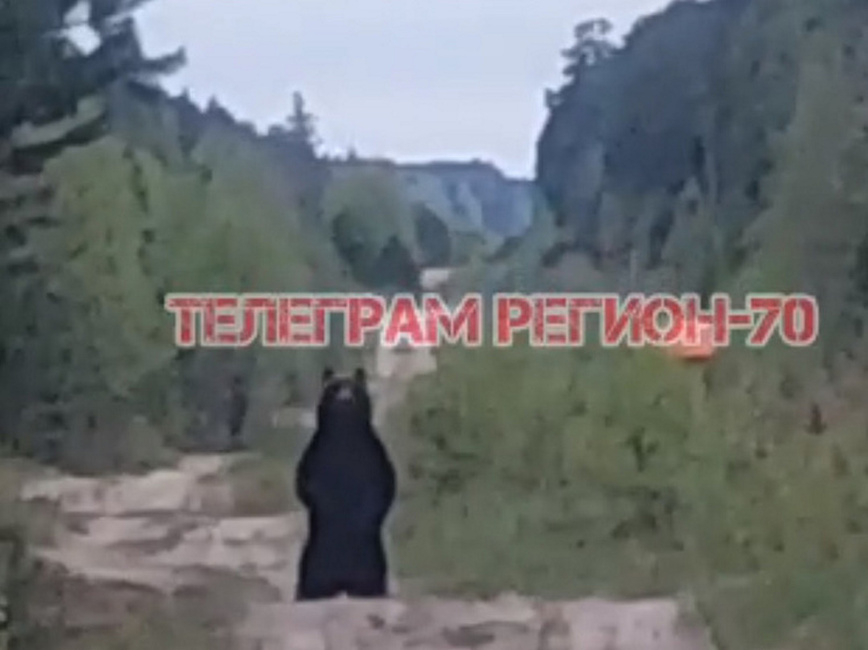 Изображение СКРИНШОТ ИЗ ПАБЛИКА «РЕГИОН-70» VK
