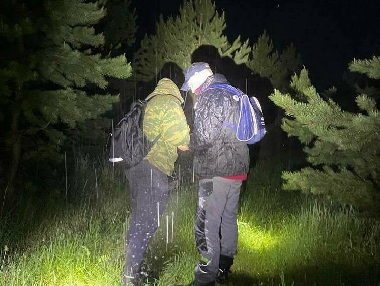Изображение SOS! Не исключают атаку медведя: на Урале в лесах ищут двух детей