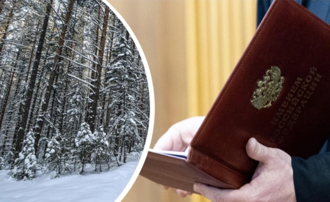 Изображение Виновный заплатил 2 млн рублей девушке и 1 млн рублей ее родителям - фото: 74.ru