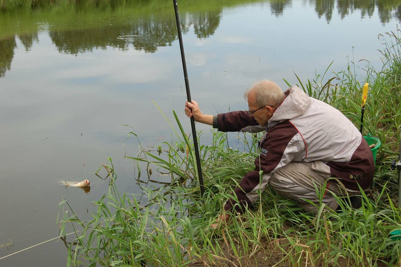 Изображение Фото: Яншевского Андрея.