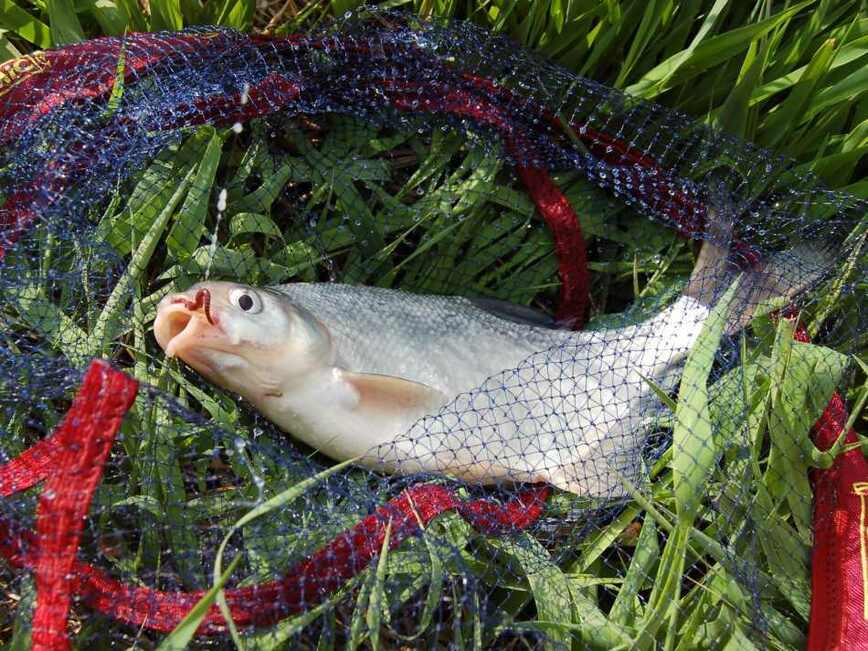 Изображение Фото: Яншевского Андрея.