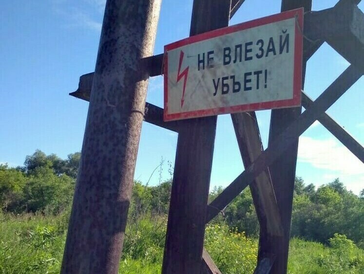 Изображение В ХМАО медведь залез на опору ЛЭП за птичьими яйцами в гнезде