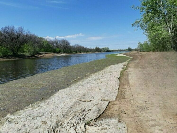 Изображение В Волго-Ахтубинской пойме восстановлена водная система ерика Гнилого