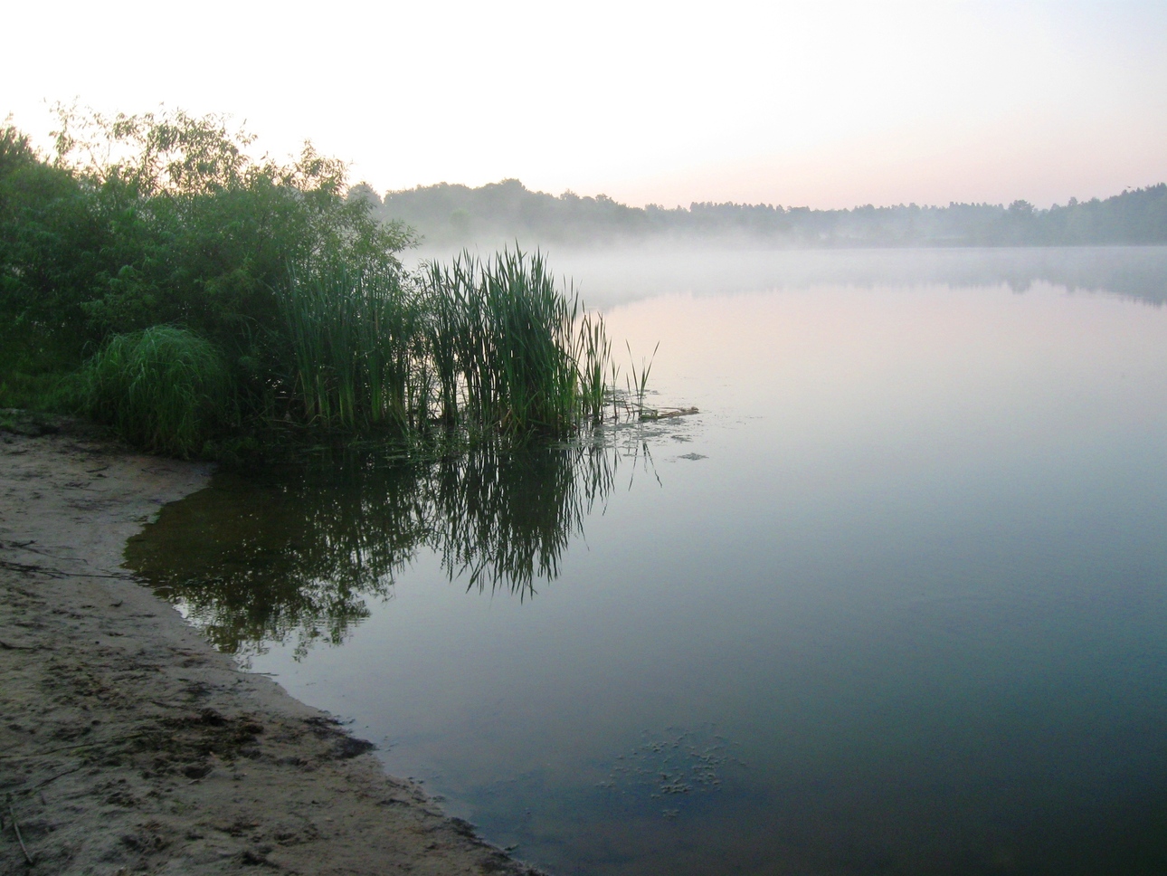Изображение Фото: Токарева Александра.