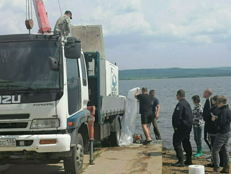 Изображение В озеро Иван выпустили молодь пеляди