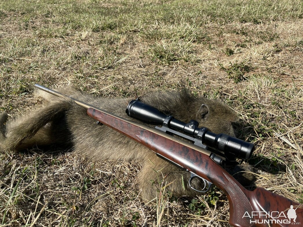 Изображение Фото: africahunting.com