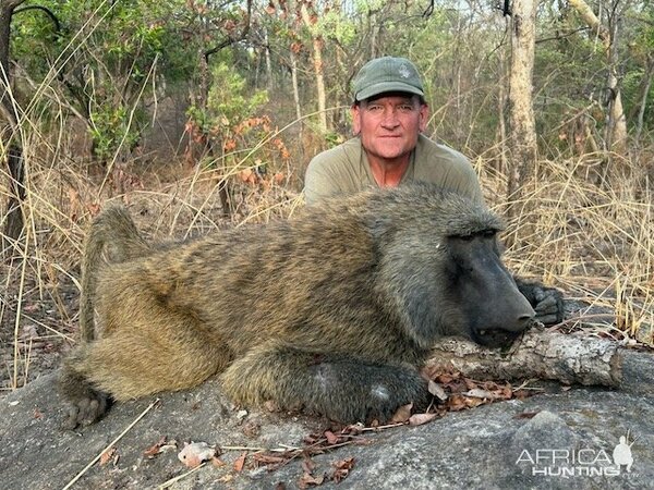 Изображение Фото: africahunting.com