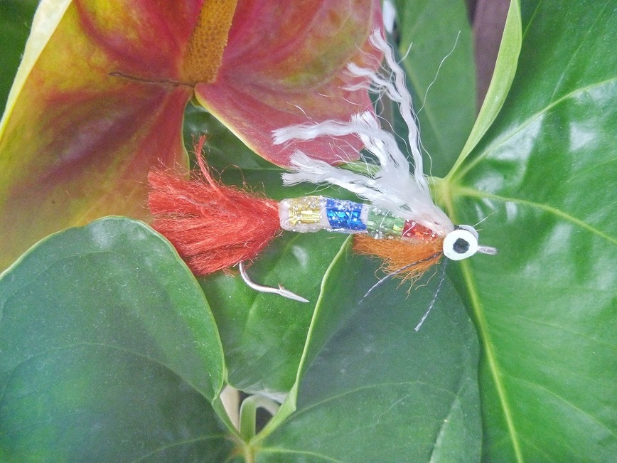 Изображение Мушка нового поколения. Фото: Смирнова Александра.