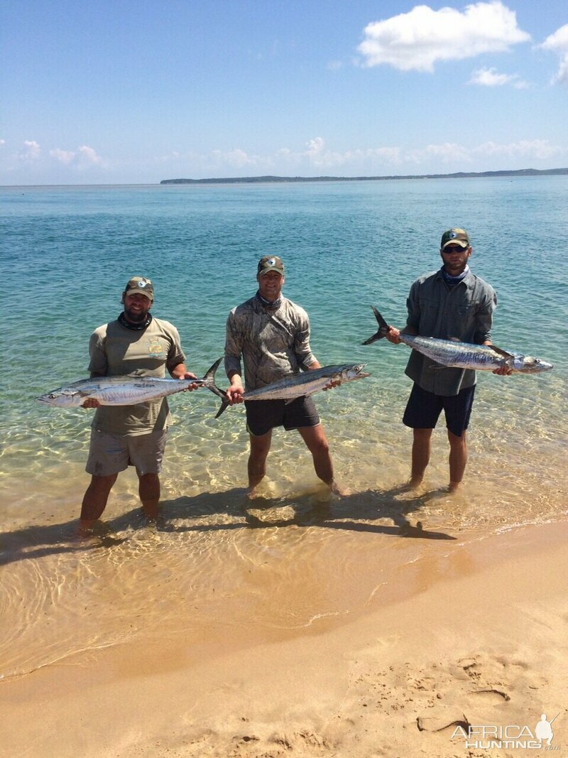 Изображение Фото: africahunting.com