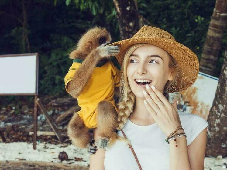 Изображение В Крыму укусившую ребенка обезьянку проверяет прокуратура
