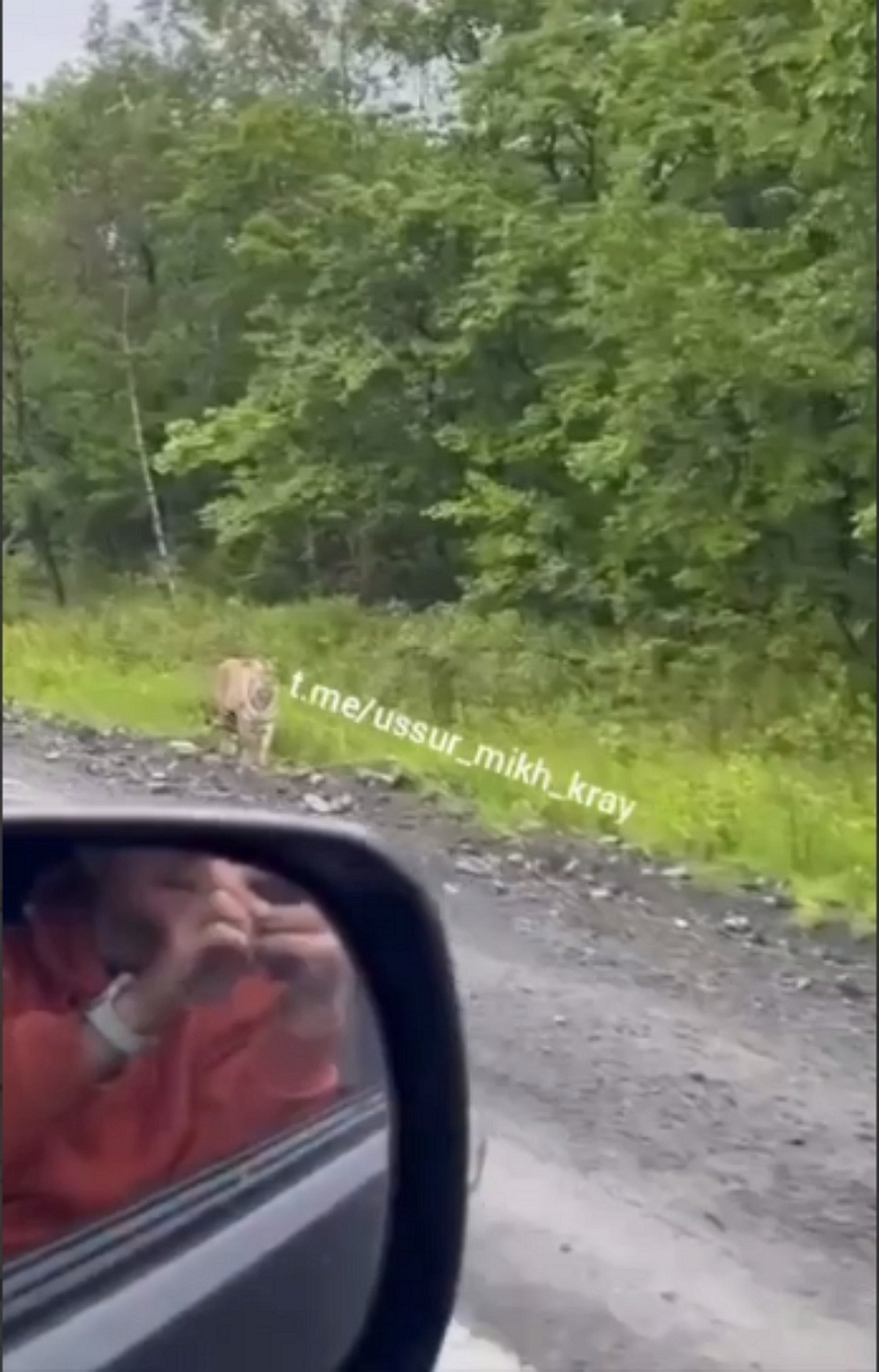 Изображение Скрин видео
