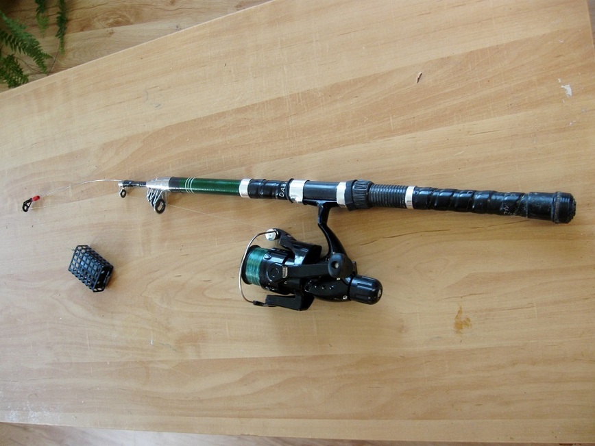 Изображение Фото: Токарева Александра.