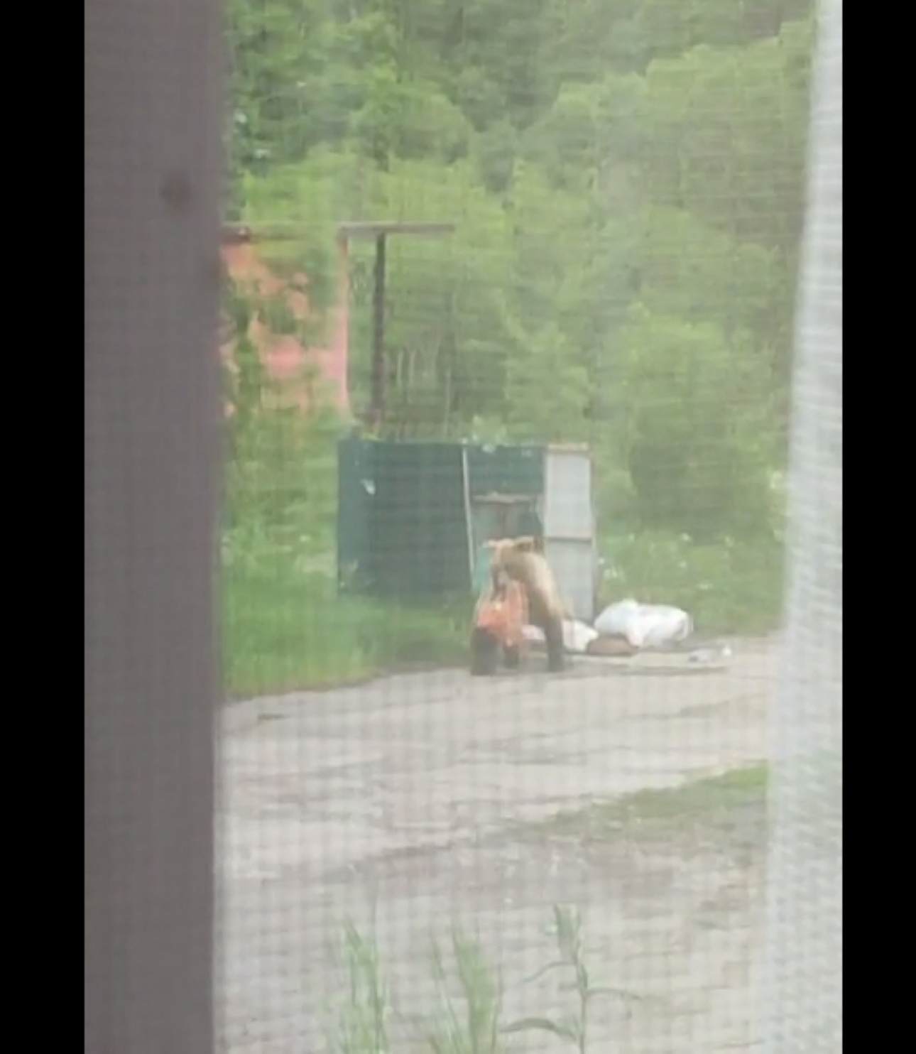 Изображение Скрин видео