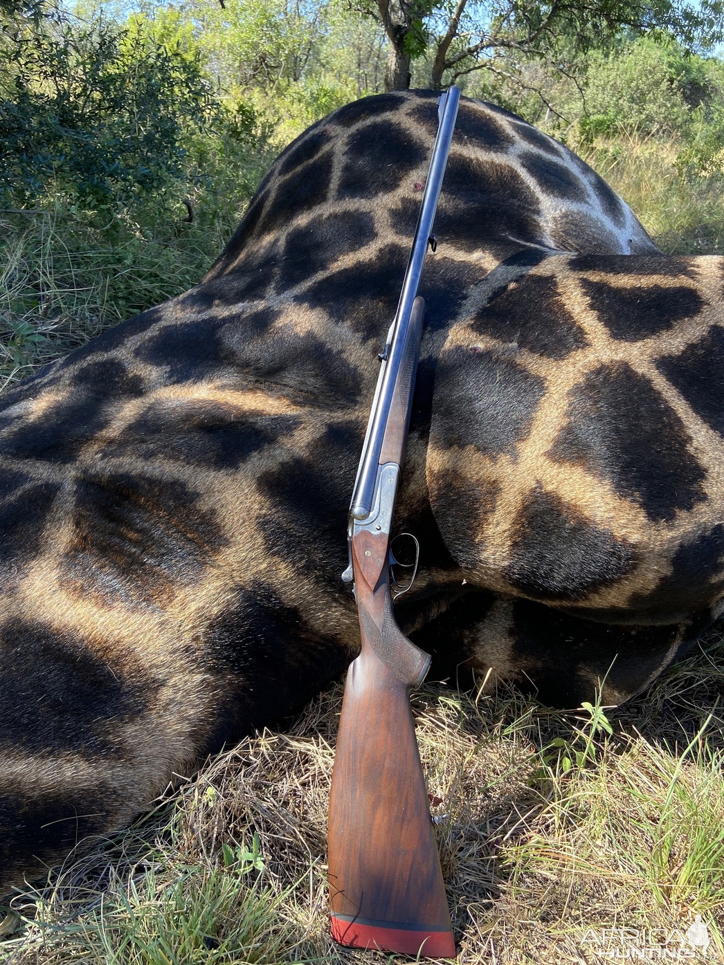 Изображение Фото: africahunting.com
