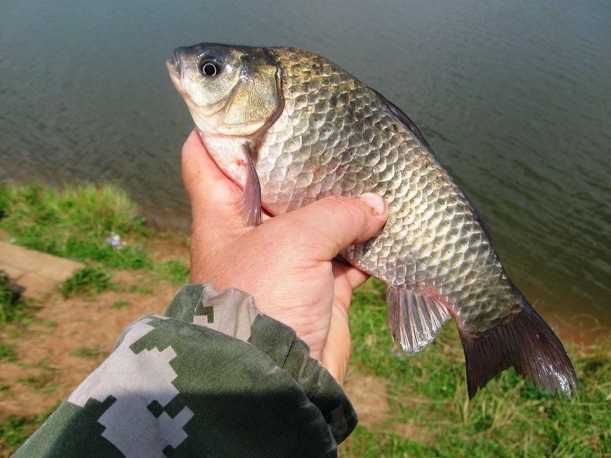 Изображение Фото: Токарева Александра.