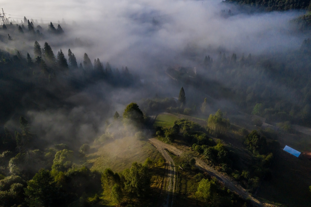Изображение Фото: Freepik