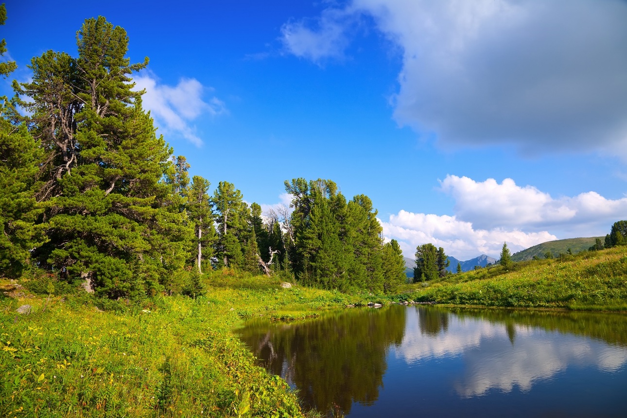 Изображение Фото: Freepik