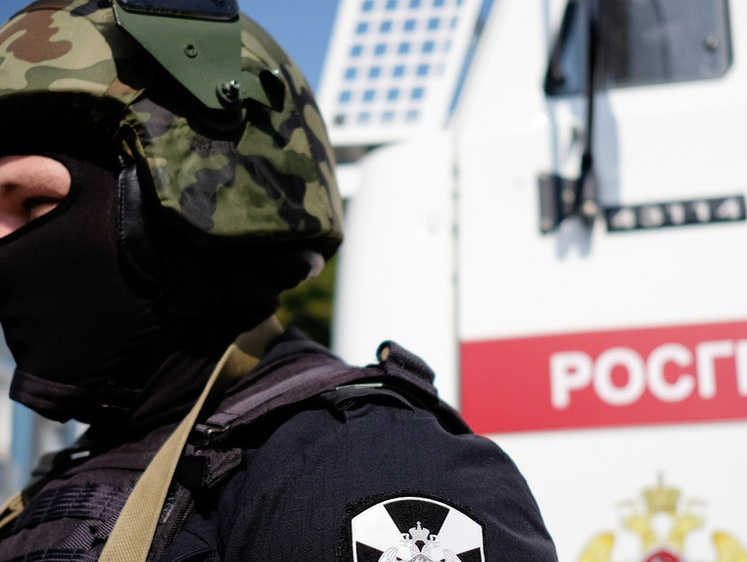 Изображение В Псковской области увеличили награду за сданное оружие
