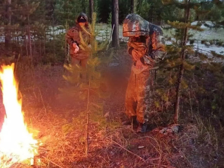 Изображение На Ямале двое мужчин незаконно убили медведя