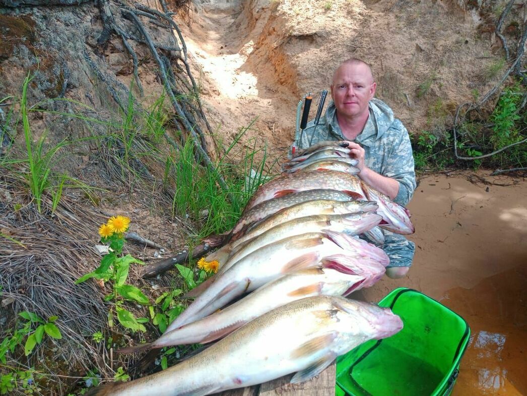 Изображение Фото Дмитрия Васильева