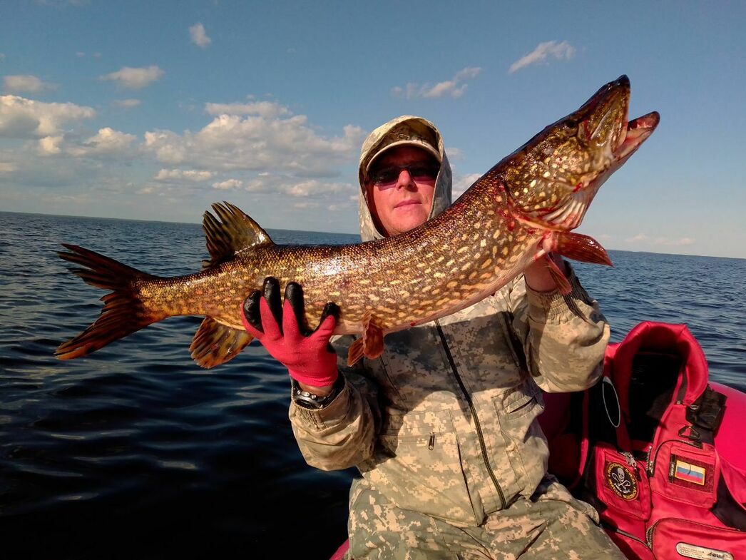 Изображение Фото Дмитрия Васильева