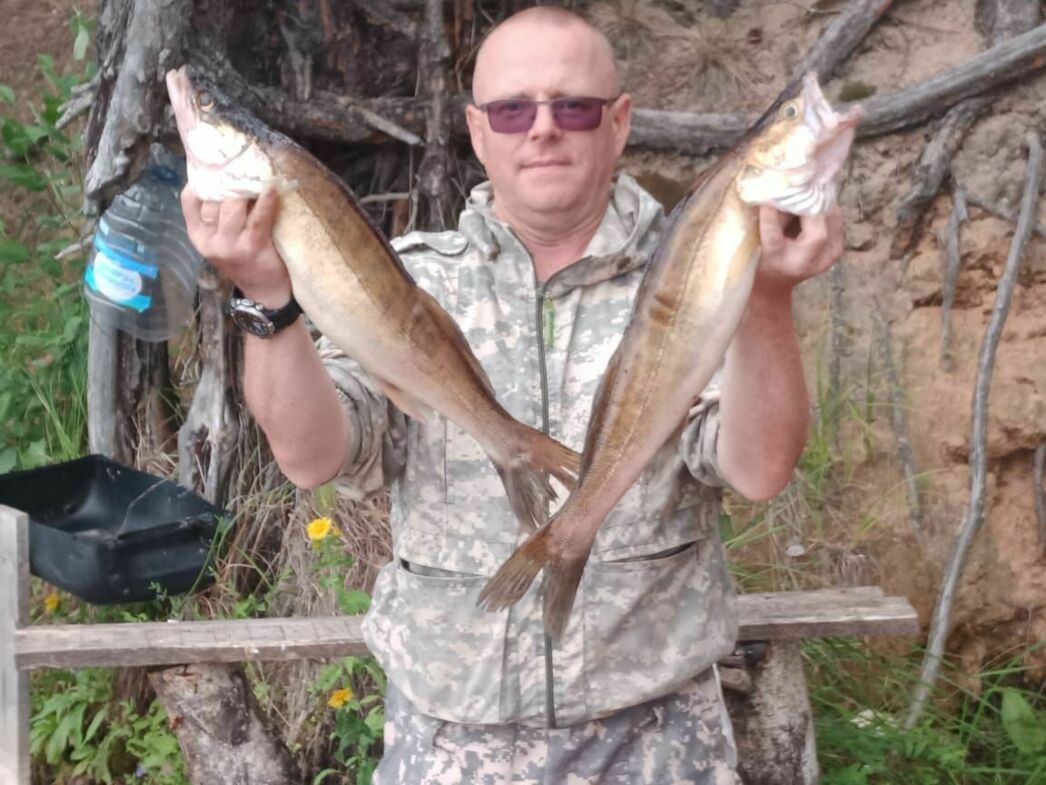 Изображение Фото Дмитрия Васильева