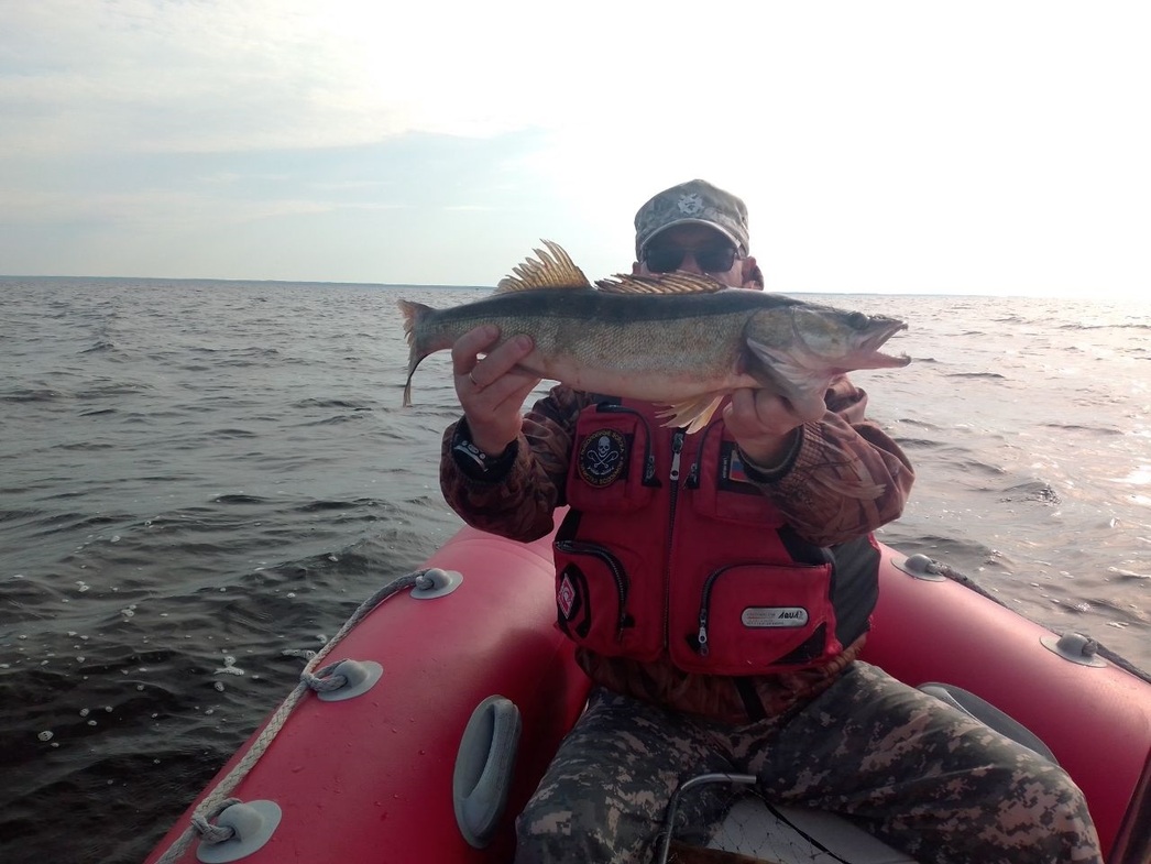 Изображение Фото Дмитрия Васильева