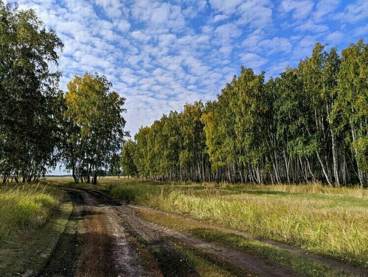 Изображение Границы охотничьих угодий Омской области перенесут