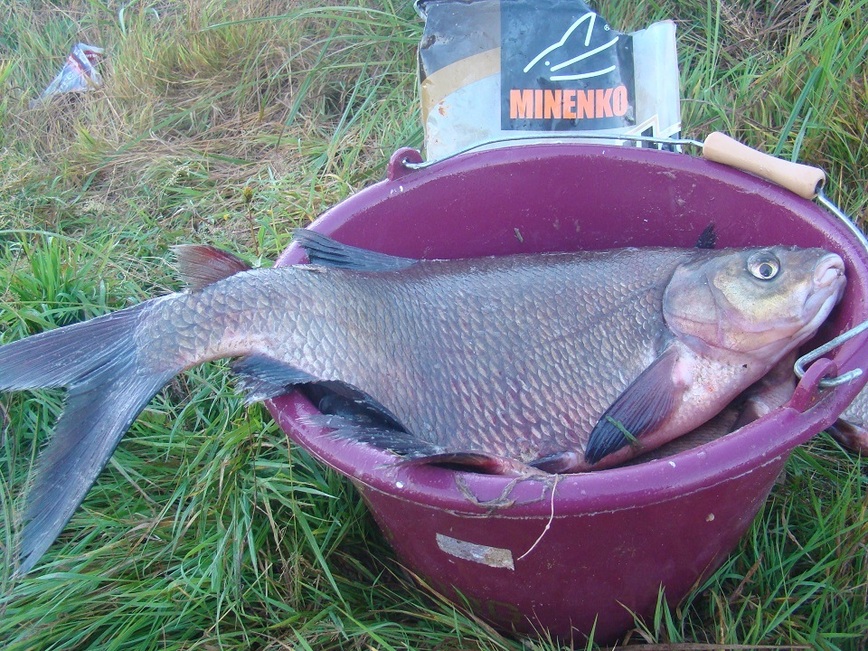 Изображение Фото: Линника Николая.