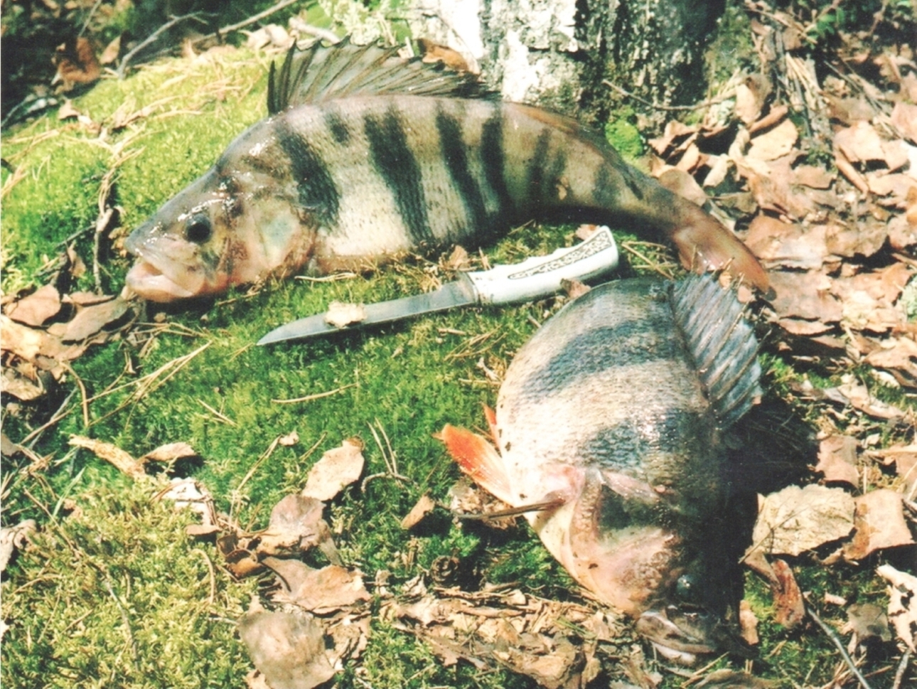 Изображение Фото: Токарева Александра.