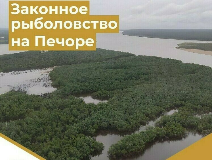 Изображение На Печоре возобновляется любительский лов лосося