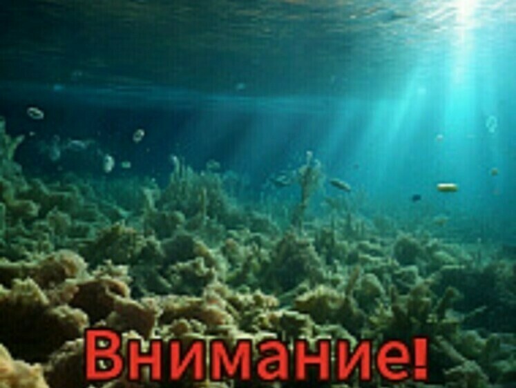 Изображение В озере Чебакуль Челябинской области обнаружена холерная палочка