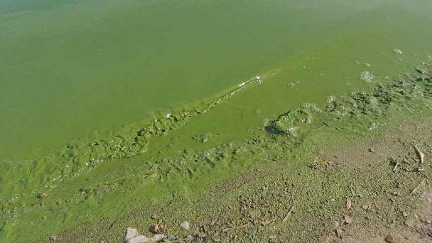 Изображение Фото: Коломийца Алексея.