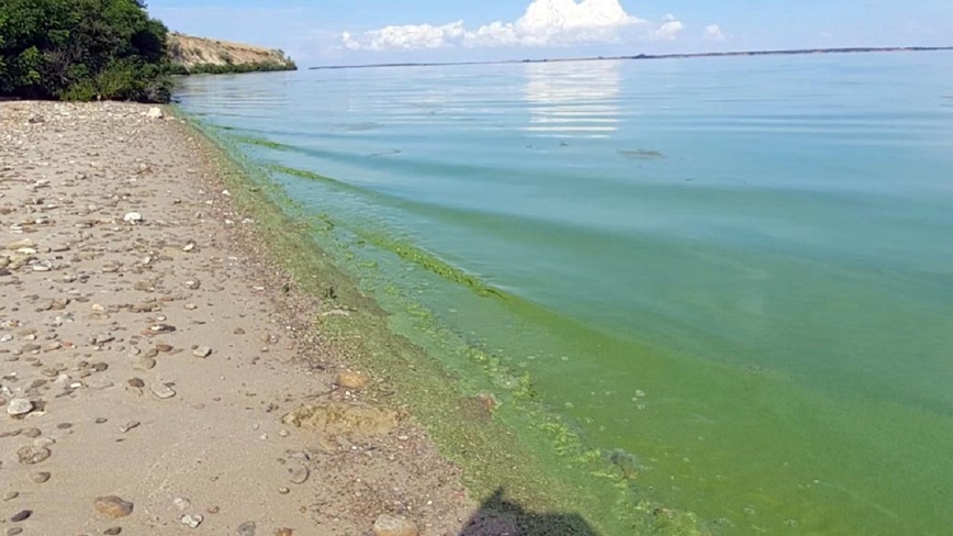 Изображение Фото: Коломийца Алексея.