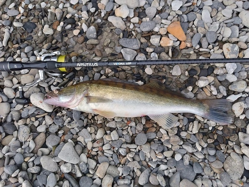 Изображение Фото: Коломийца Алексея.