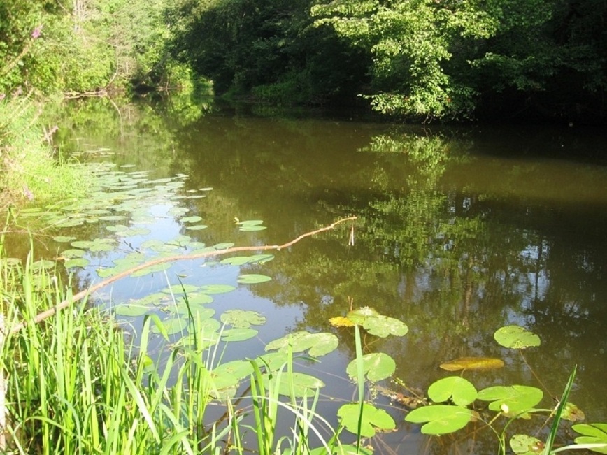 Изображение Фото: Токарева Александра.