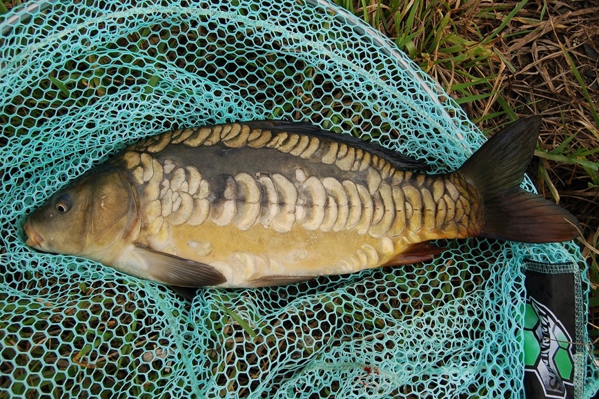 Изображение Фото: Яншевского Андрея.