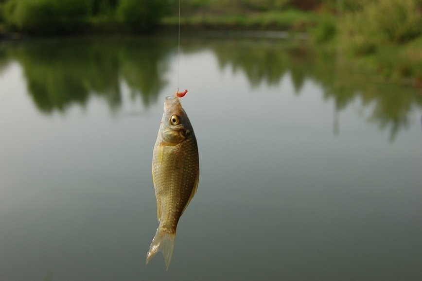 Изображение Фото: Яншевского Андрея.