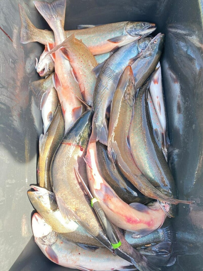 Изображение Фото: Николай Кордюков