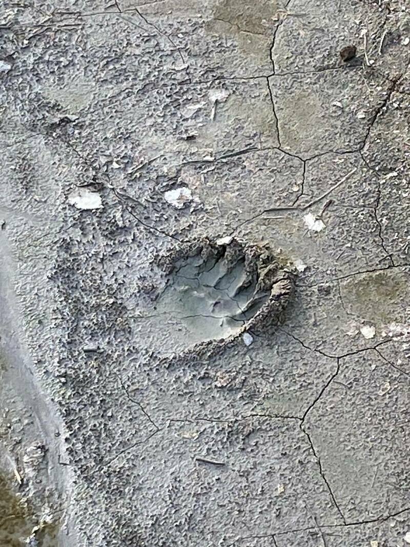 Изображение Фото: Николай Кордюков