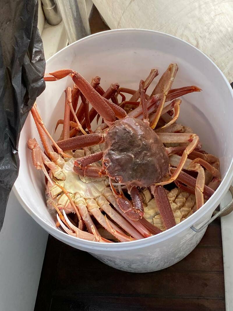 Изображение Фото: Николай Кордюков