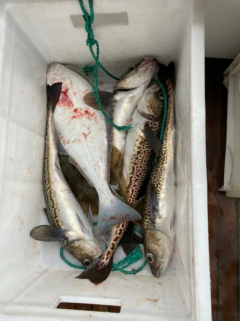 Изображение Фото: Николай Кордюков