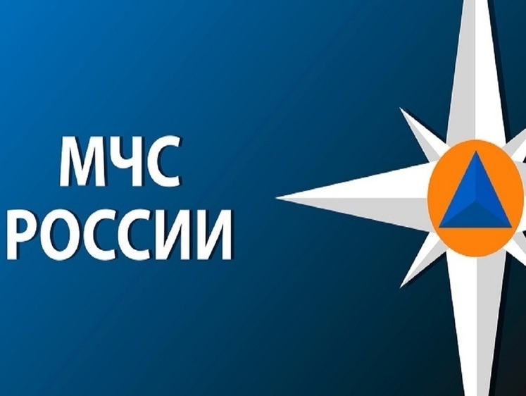 Изображение МЧС России: в июне-июле на акваториях утонули более тысячи человек 