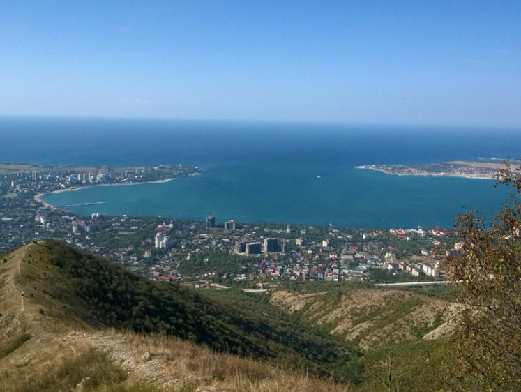 Изображение В лесном массиве возле Неберджаевского водохранилища появился медведь
