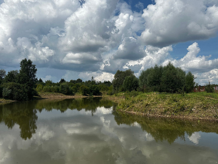 Изображение В Наро-Фоминском городском округе завершена расчистка двух водоемов