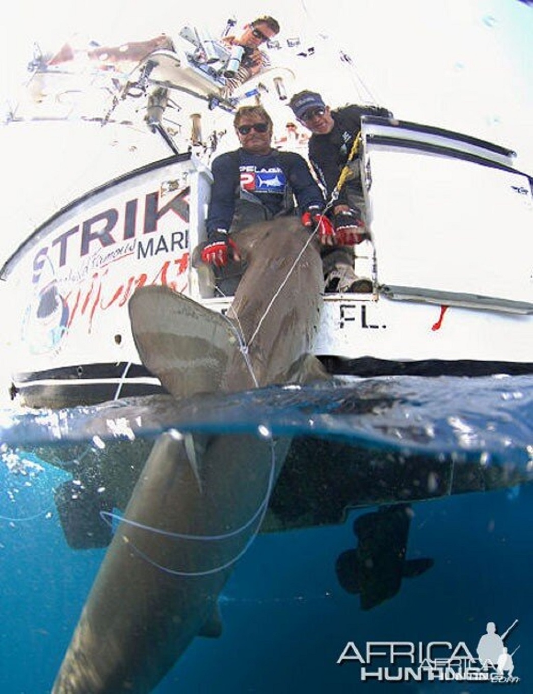 Изображение Фото: africahunting.com